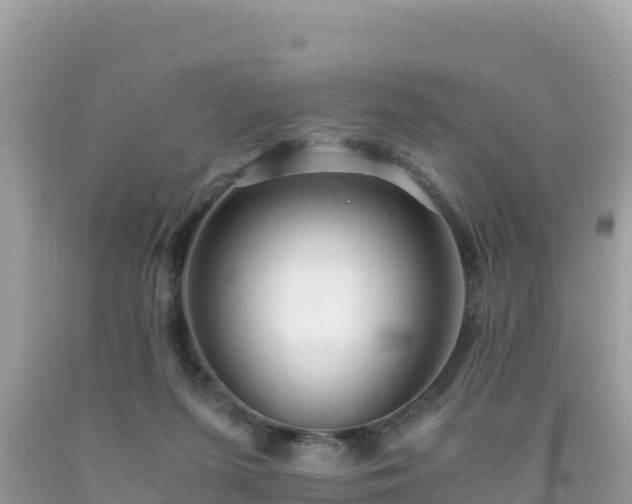 X0000092020215200709131604