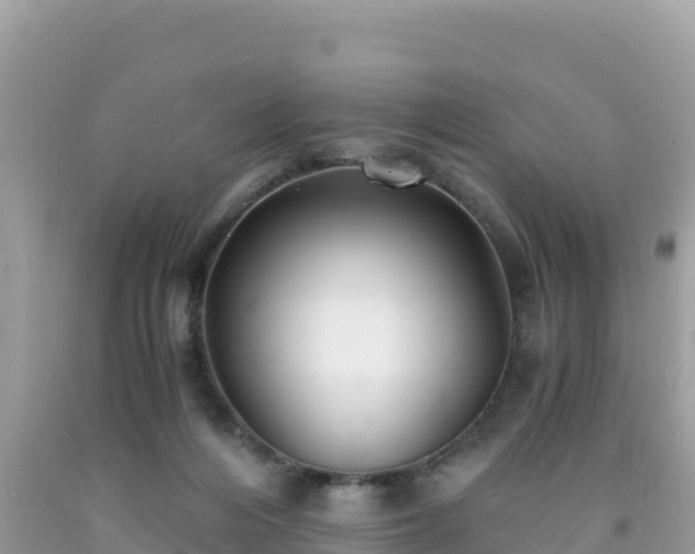 X0000092020216200709131604