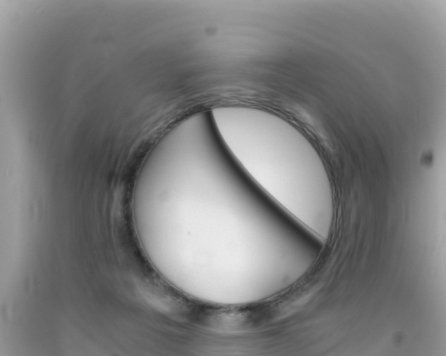 X0000092020217200709131604