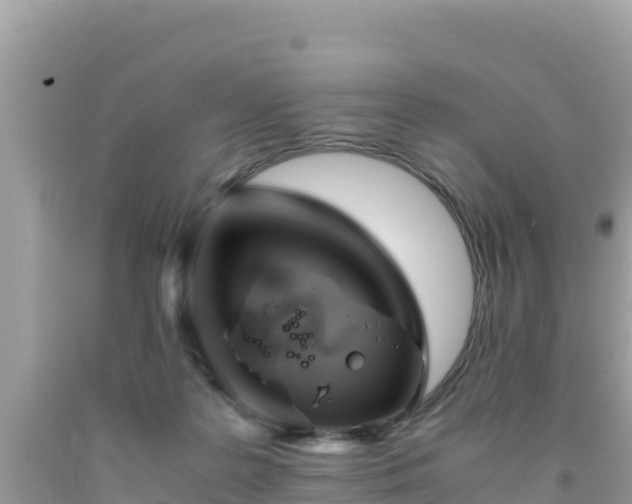 X0000092020219200709131604