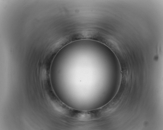 X0000092020220200709131604