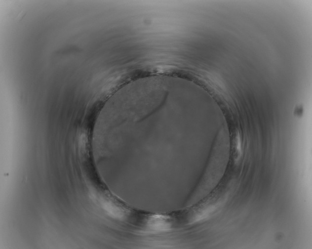 X0000092020222200709131604