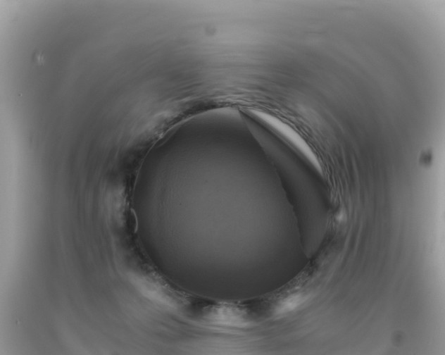 X0000092020223200709131604