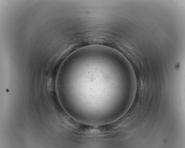 X0000092020224200709131604