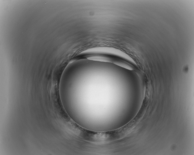 X0000092020225200709131604