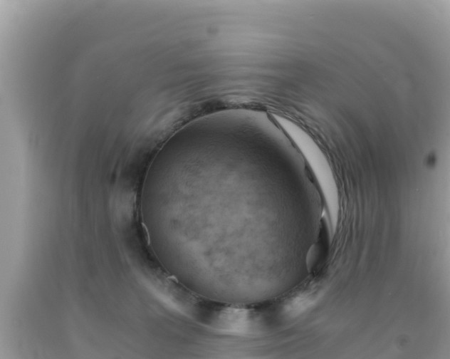 X0000092020227200709131604