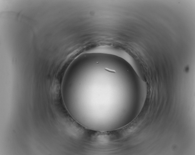 X0000092020228200709131604