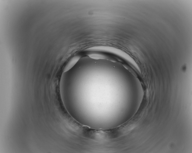 X0000092020229200709131604