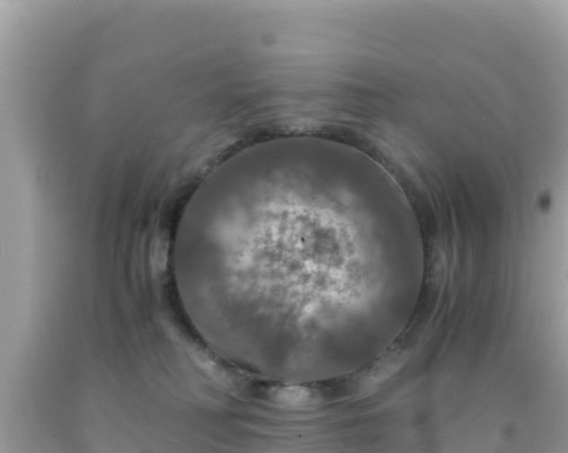 X0000092020230200709131604