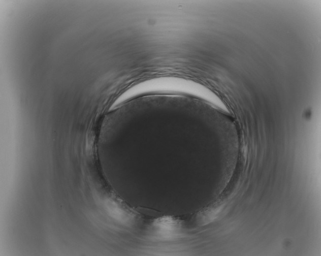 X0000092020231200709131604