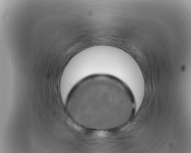 X0000092020233200709131604