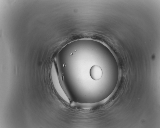 X0000092020235200709131604