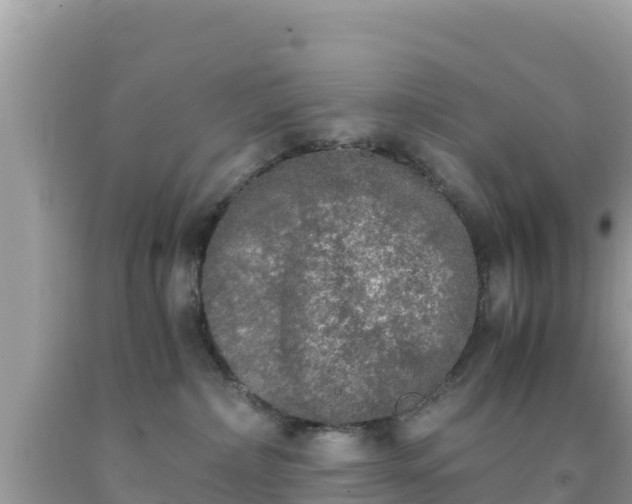 X0000092020236200709131604