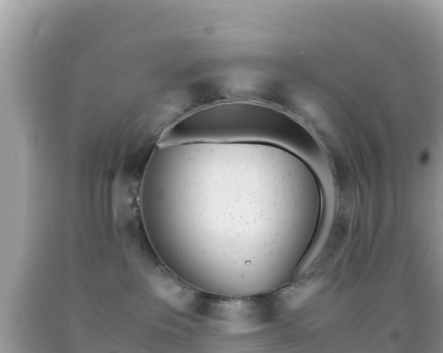 X0000092020237200709131604