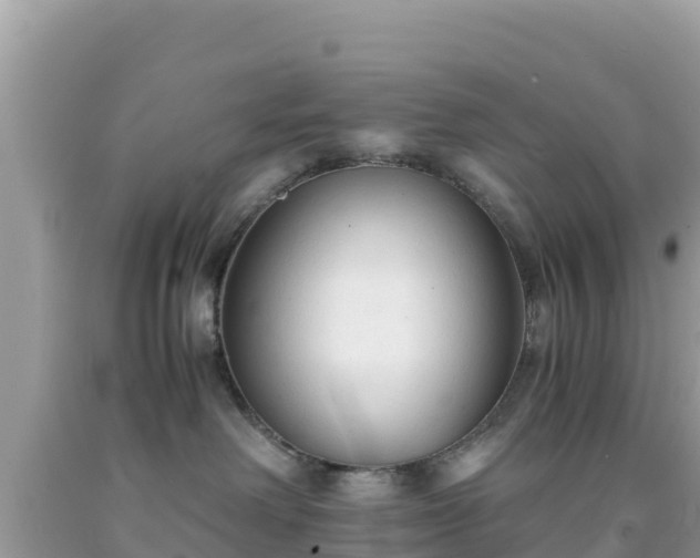 X0000092020238200709131604