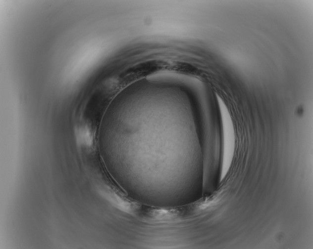 X0000092020239200709131604