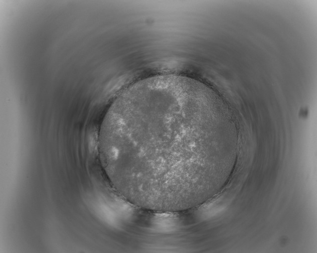 X0000092020240200709131604