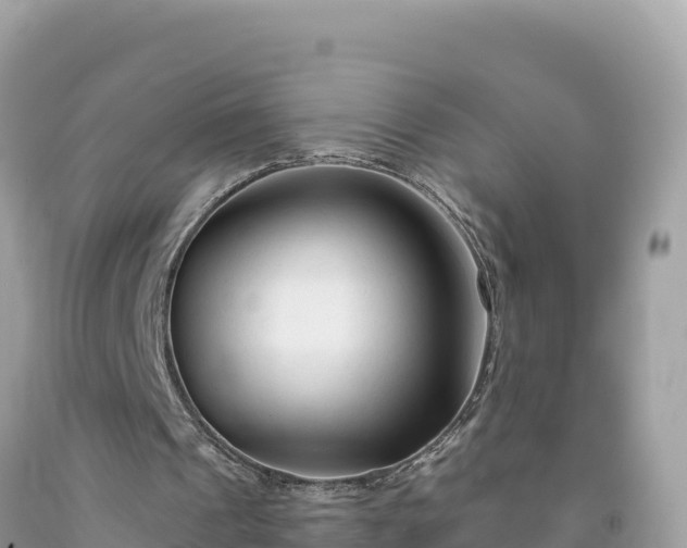 X0000092020241200709131603