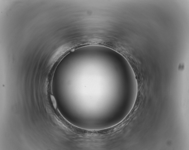 X0000092020242200709131603