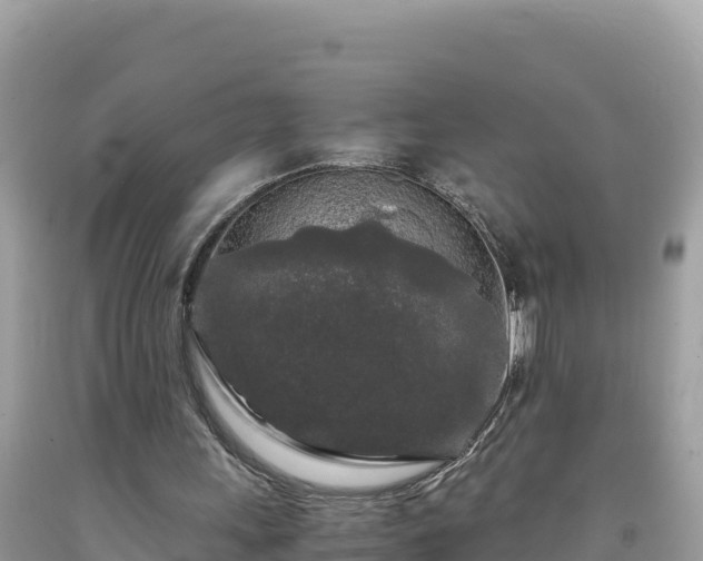 X0000092020243200709131603