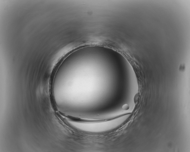 X0000092020244200709131603