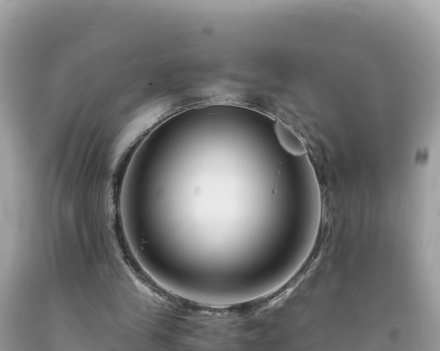 X0000092020245200709131603