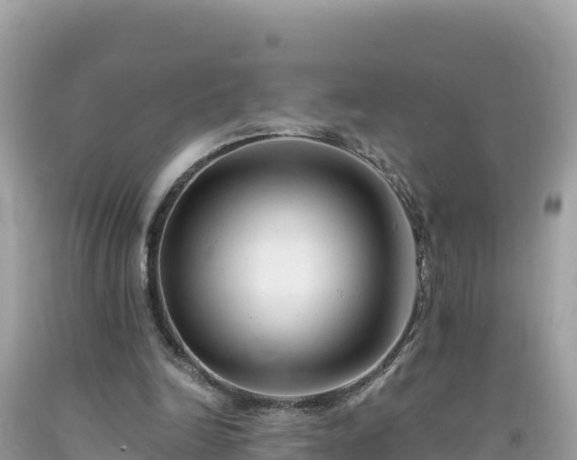 X0000092020246200709131603