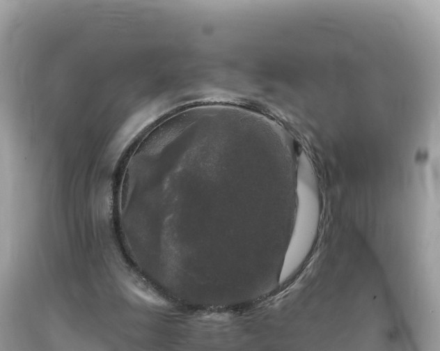 X0000092020247200709131603