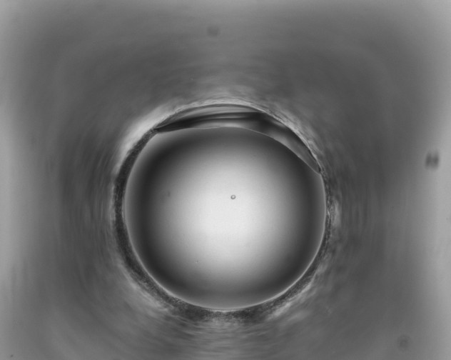 X0000092020248200709131603