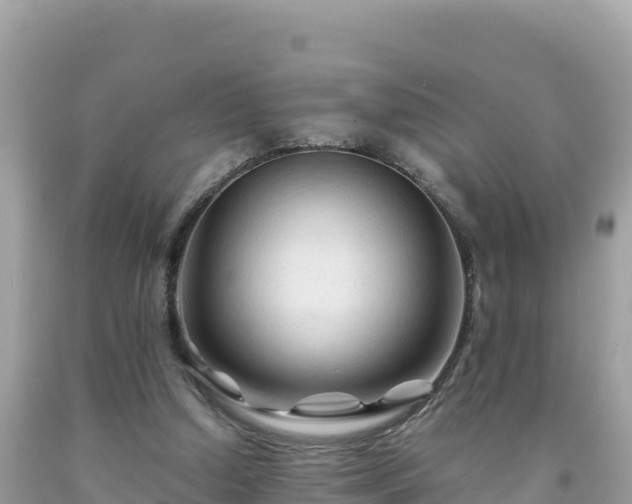 X0000092020250200709131603