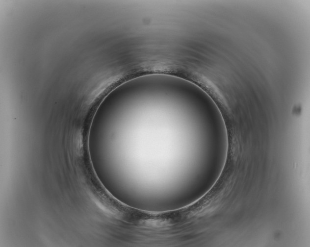 X0000092020251200709131603