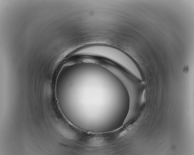 X0000092020252200709131603