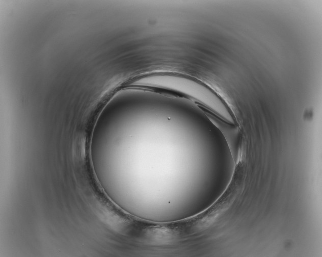 X0000092020253200709131603