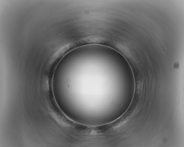 X0000092020254200709131603