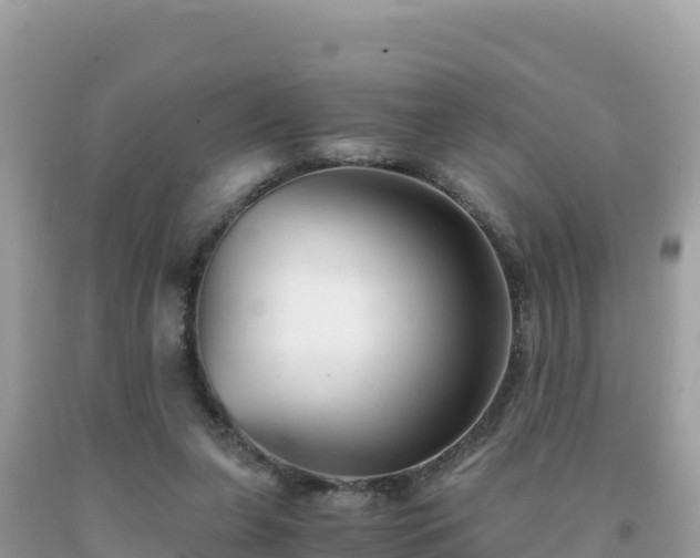 X0000092020255200709131603