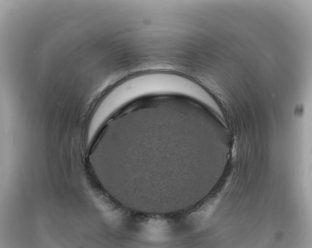 X0000092020256200709131603