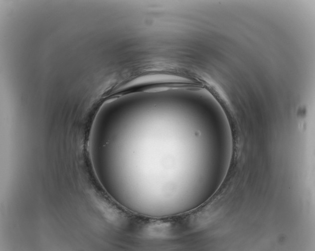 X0000092020257200709131604