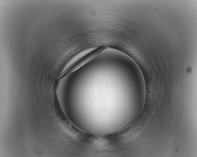 X0000092020258200709131604