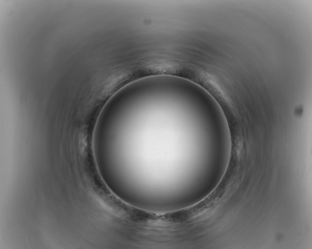 X0000092020259200709131604