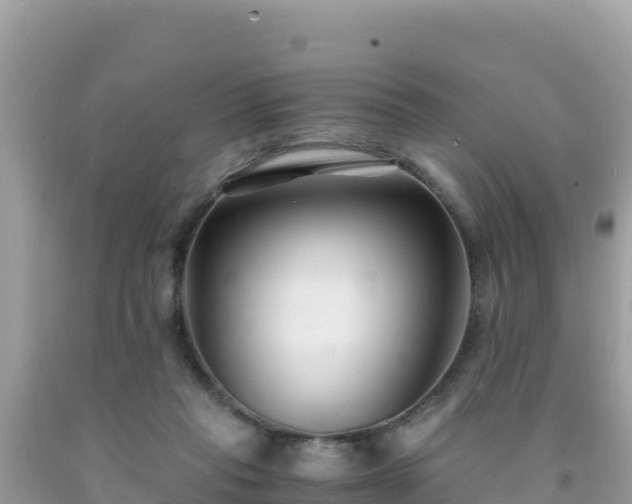 X0000092020261200709131604