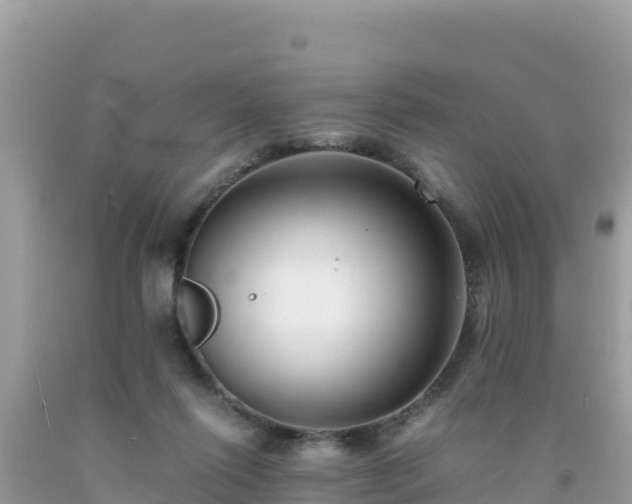 X0000092020262200709131604