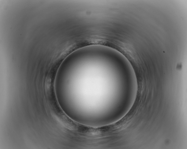 X0000092020263200709131604