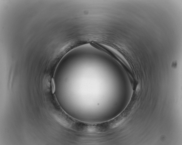 X0000092020264200709131604