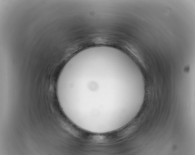 X0000092020265200709131604