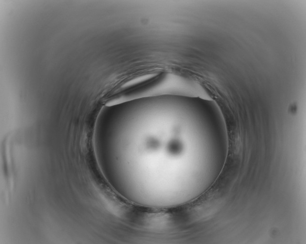 X0000092020266200709131604