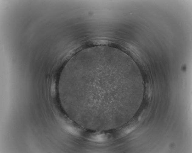 X0000092020267200709131604