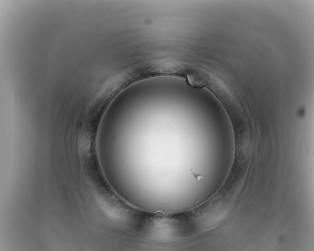 X0000092020268200709131604