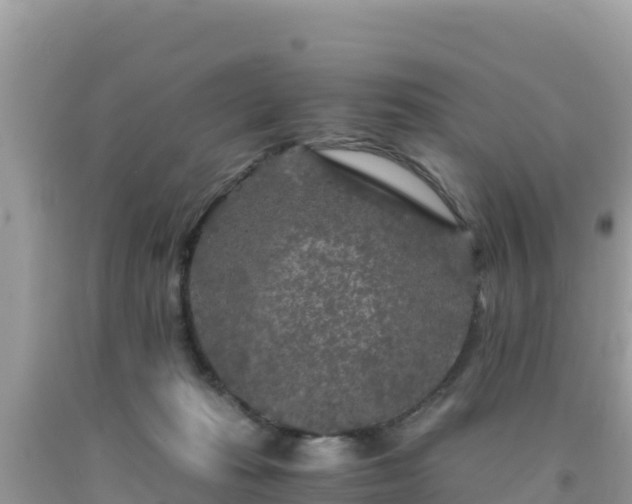 X0000092020269200709131604