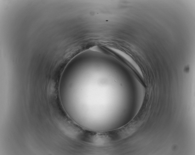 X0000092020270200709131604