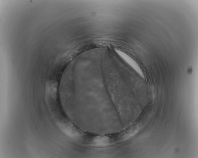 X0000092020271200709131604